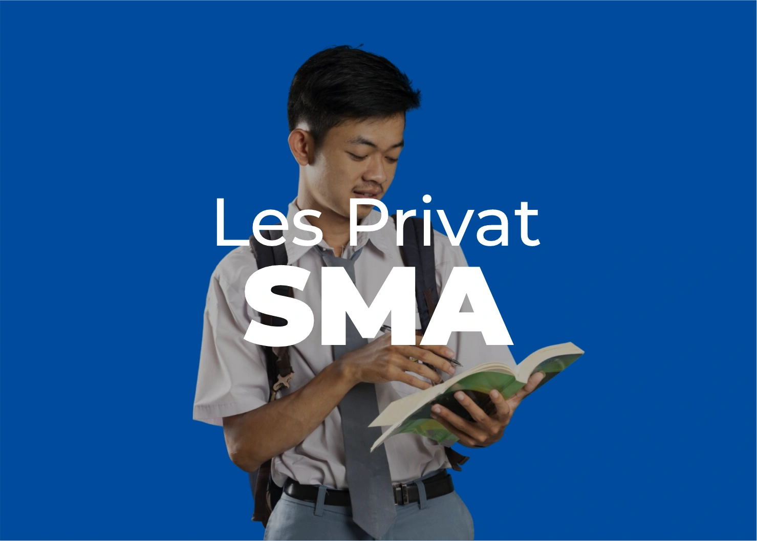 Les Privat Online & Offline Terbaik